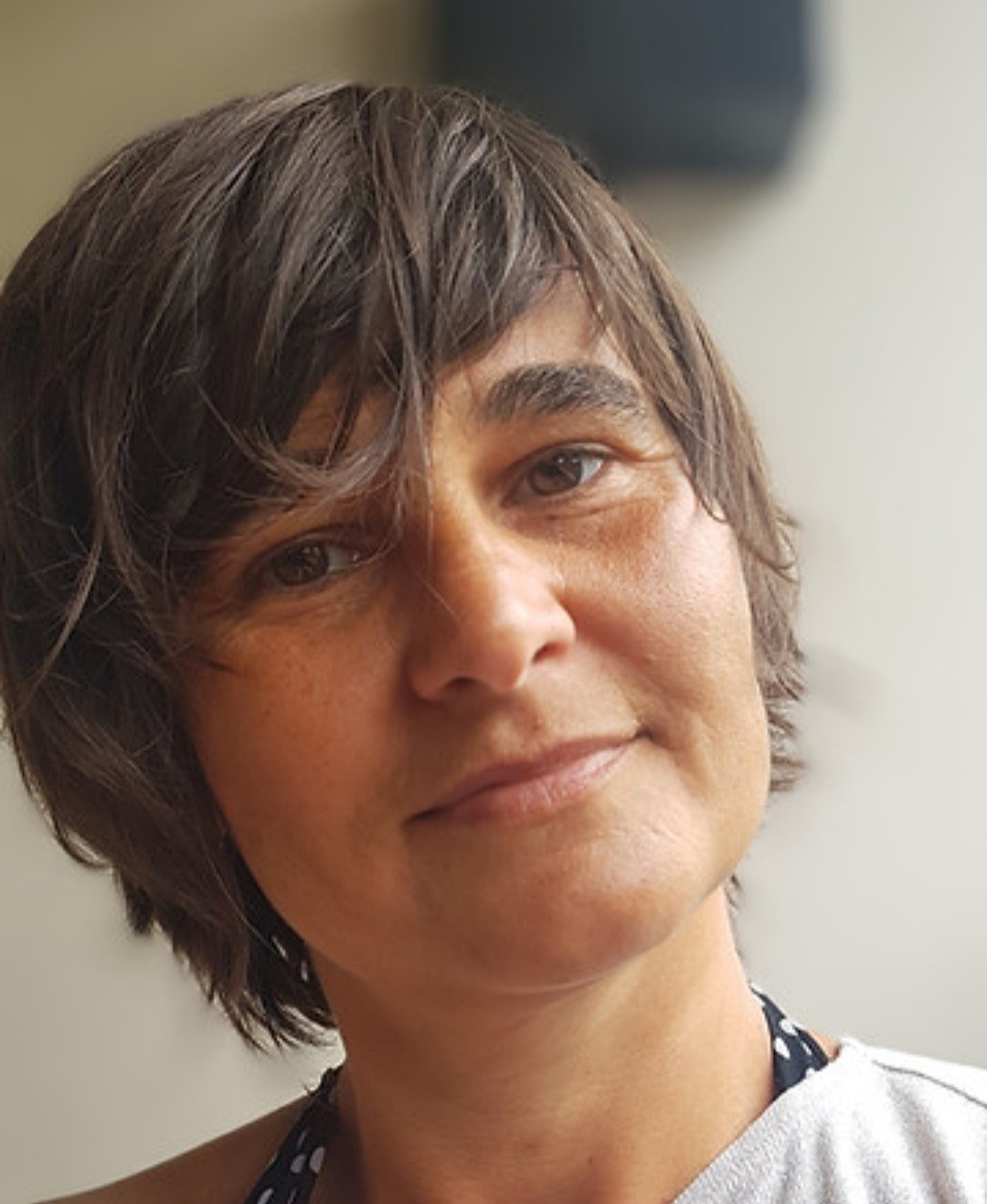 Sousa Dany De